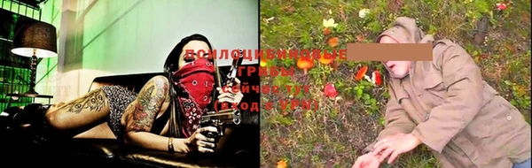 ПСИЛОЦИБИНОВЫЕ ГРИБЫ Михайловка